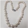 BZ1465-194 SILVER FRESH WATER PEARL 18" NECKLACE