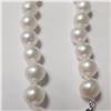 Image 2 : BZ1465-194 SILVER FRESH WATER PEARL 18" NECKLACE