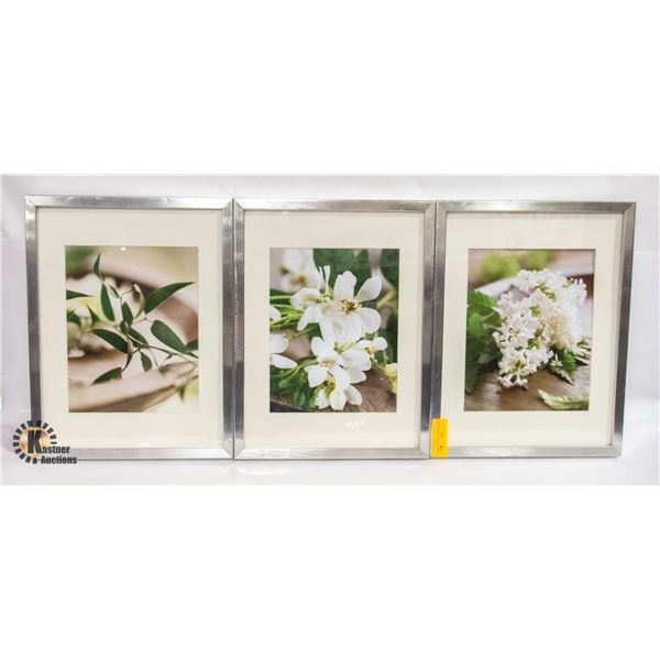 SET OF 3 FRAMED FLORAL PICTURES