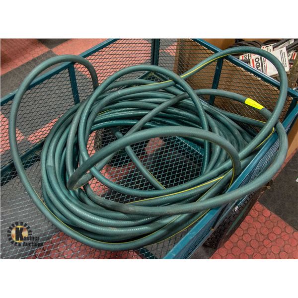 50FT GARDEN HOSE