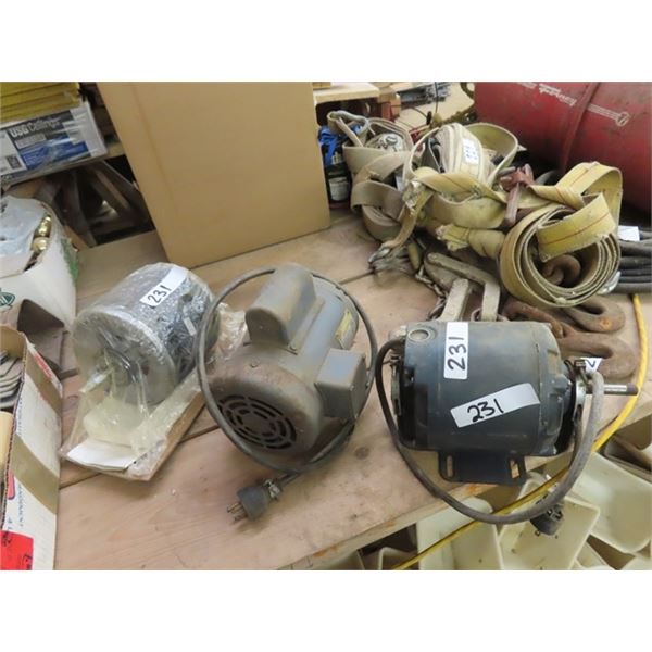 (3) 1/4 HP Electric Motors , 1 is Baldner 