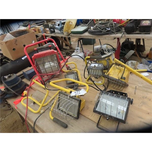 Halogen Lights Some Work, Some Don’t