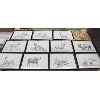 Image 1 : 11 FRAMED WILDLIFE DRAWINGS