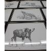 Image 3 : 11 FRAMED WILDLIFE DRAWINGS
