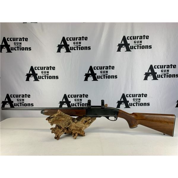 Remington Arms 742 30-06