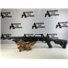 Image 1 : Silver Eagle RZ17 Tactical 12 GA