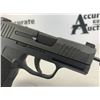 Image 12 : Sig Sauer P365 9mm