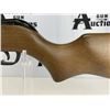Image 4 : Gamo Hunter Sport 0.177