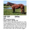 Image 1 : Babe
