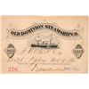 Image 1 : Old Dominion Steamship Co. Annual Pass [165754]