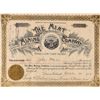 Image 1 : The Mint Mining Company Stock Certificate [165327]