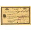 Image 1 : Parrot Silver & Copper Co. Stock issued to Henry Clews [165349]