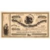 Image 1 : Crescent Gold & Silver Mining Stock - Gold Hill [161406]