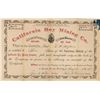 Image 1 : California Boy Mining Company Stock Certificate [165333]