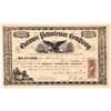 Image 1 : Oceanic Petroleum Company Stock Certificate [165952]
