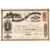 Image 1 : Heydrick Oil Company of New York Stock Certificate [165912]