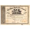 Image 1 : Maple Shade Oil Company Stock Certificate [165928]