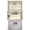 Image 1 : Early Michigan Railroad Stock Trio [165797]