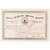 Image 1 : Arizona Co-Operative Mercantile Association Stock Certificate (Mormon Business) [160412]