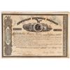 Image 1 : American Express Company Stock Certificate Signed by Wells, Fargo, & Holland [165909]