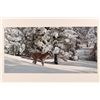 Image 13 : Cats of the Snow Deluxe Prints by Simon Combes [167759]