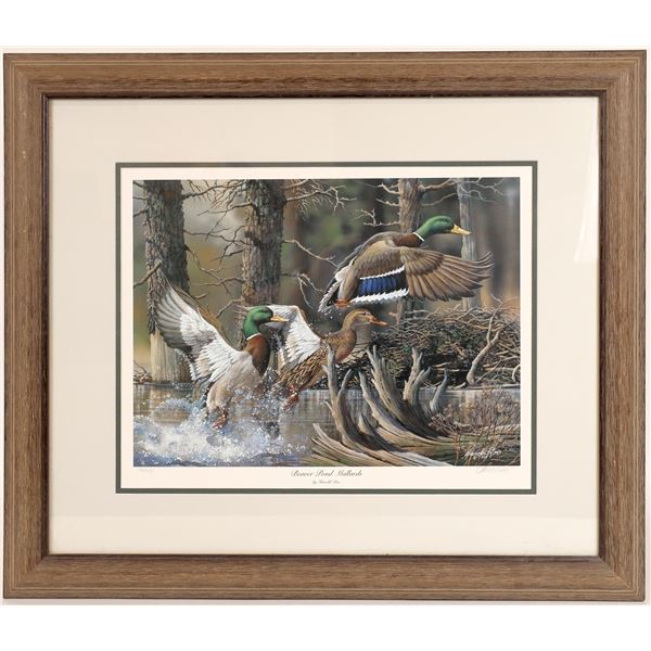 Duck Wildlife Signed Print Trio [167508]