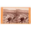 Image 1 : Mineral Park Arizona Stereoview [168027]