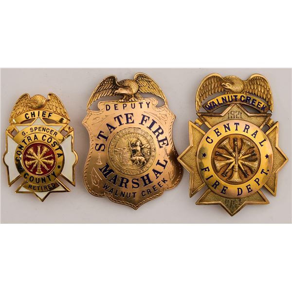 Gold California Fire Department Badges, and Firemen's Archive  [132778]