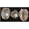 Image 2 : Fire Badges - 3 [163528]