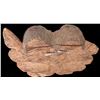 Image 2 : Old Carve Wood Figurehead [165070]