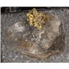 Image 1 : Crystalline Gold in Quartz, Varespatak, Romania [167907]