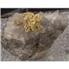 Image 2 : Crystalline Gold in Quartz, Varespatak, Romania [167907]