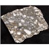 Image 1 : Gold and Detrital Pyrite, Witwatersrand Reef, South Africa [167902]