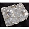 Image 2 : Gold and Detrital Pyrite, Witwatersrand Reef, South Africa [167902]