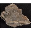 Image 2 : Native Gold on Coloradoite [167906]