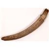 Image 1 : Ancient Mammoth Partial Tusk [165251]