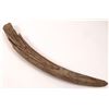 Image 2 : Ancient Mammoth Partial Tusk [165251]