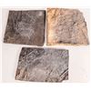 Image 1 : Crinoid Plates, 3 [159243]