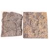 Image 1 : Crinoid Sawed Edges [159242]