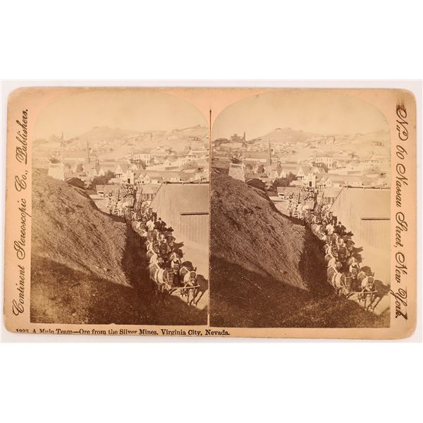 Stereoview of Mule Team Transporting Ore, Gold Hill, Nevada [164539]