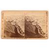 Image 1 : Stereoview of Mule Team Transporting Ore, Gold Hill, Nevada [164539]