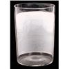Image 2 : Saltair Beach Souvenir Beer Glass [166225]