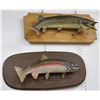 Image 1 : Trophy Fresh Water Fish, Mounted (2), Great Bear Lake, NWT [145570]