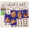 Image 1 : U. S. Penny & Nickel Collection [164965]