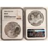 Image 2 : Silver Eagle Year Set: MS 69 [166761]