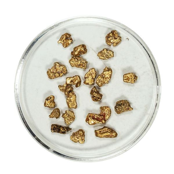 Gold Nuggets 3.61 Grams Total Weight