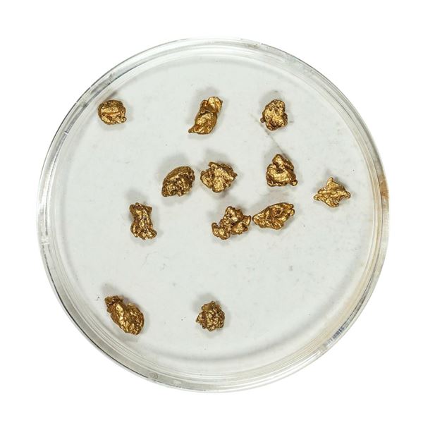 Gold Nuggets 1.72 Grams Total Weight