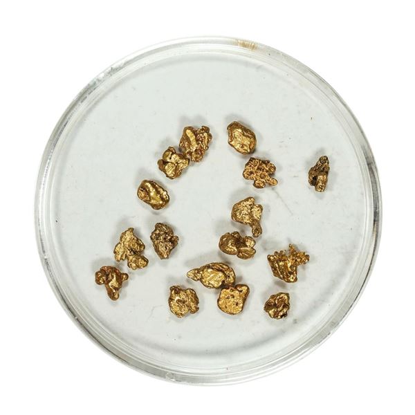 Gold Nuggets 2.29 Grams Total Weight