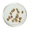 Image 1 : Gold Nuggets 2.29 Grams Total Weight