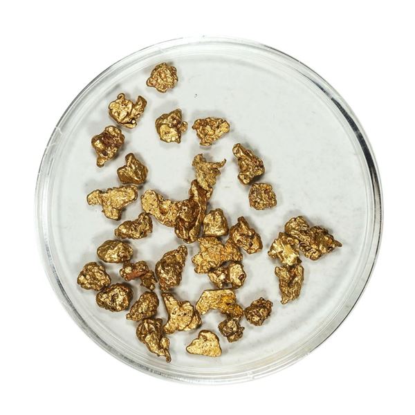 Gold Nuggets 4.77 Grams Total Weight